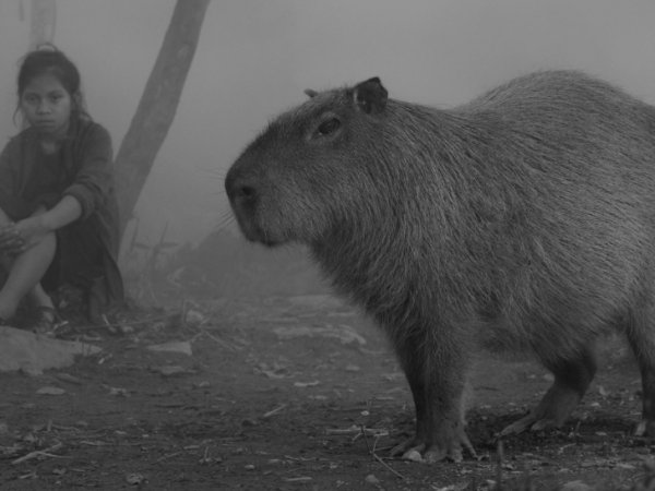 Aún estás a tiempo de ver esta muestra&nbsp;fotográfica