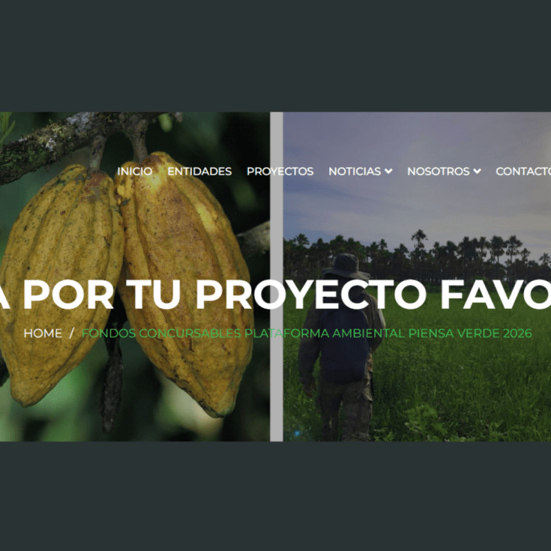 Vota por EL FUTURO AÚN CAMINA EN EL GRAN&nbsp;CHACO