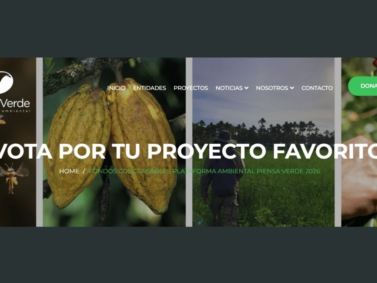 Vota por EL FUTURO AÚN CAMINA EN EL GRAN&nbsp;CHACO