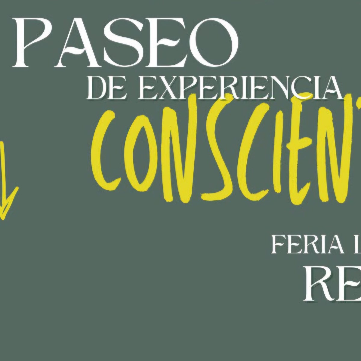 ¡Paseo de experiencia&nbsp;consciente!
